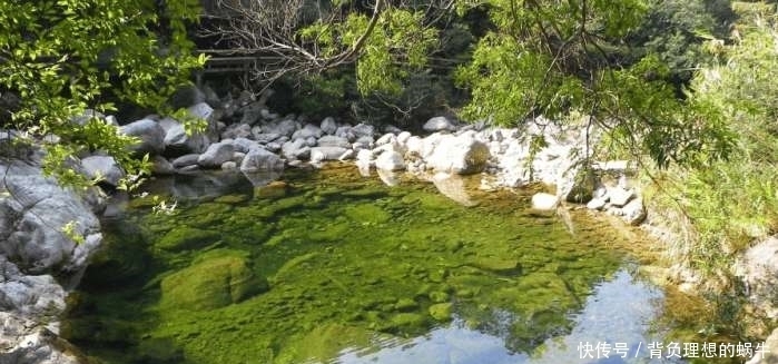 200公里的十万大山，20年接待200万游客，一张门票35元