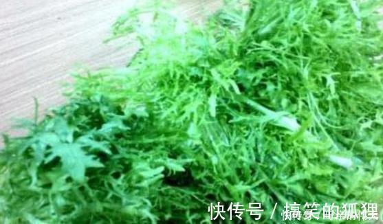 苦苣根|又被称为血管“清道夫”，每天吃一点，血管干净了，血栓消失了