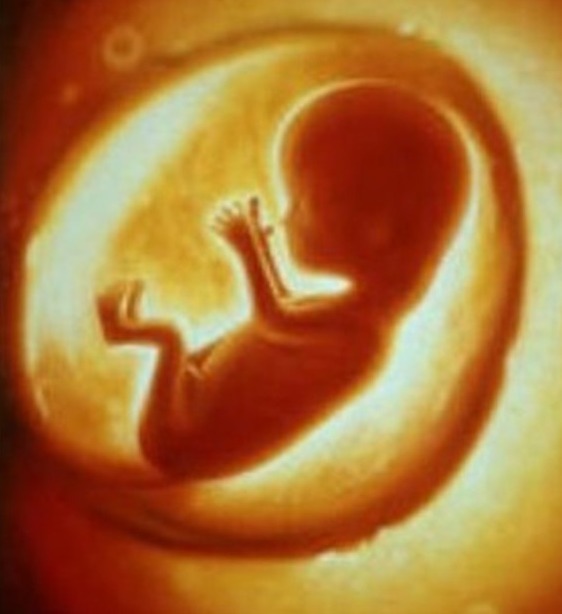 八个月|8个月孕妇摔跤,切开肚子看到婴儿,医生和护士瞬间不淡定