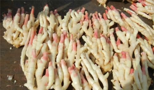 人到中年常吃3种食物，排毒养颜，调理肠胃，清理体内毒素