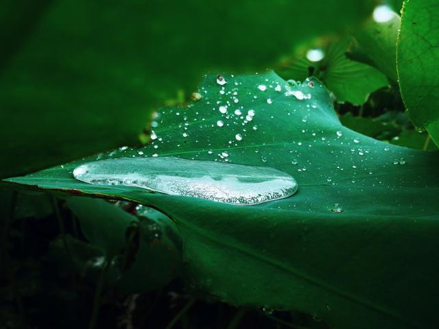 医生|3岁男童,查出肠穿孔,医生查明病因,妈妈怒吼不许奶奶见孙子