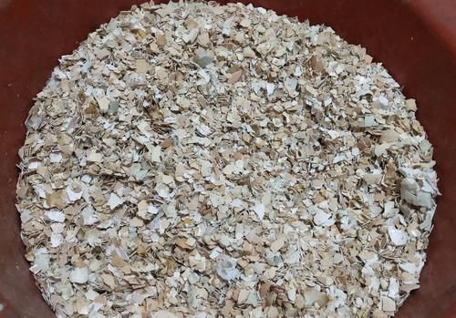 开春养殖花草植物，准备好这3样，就能顾全“花叶根”的需求