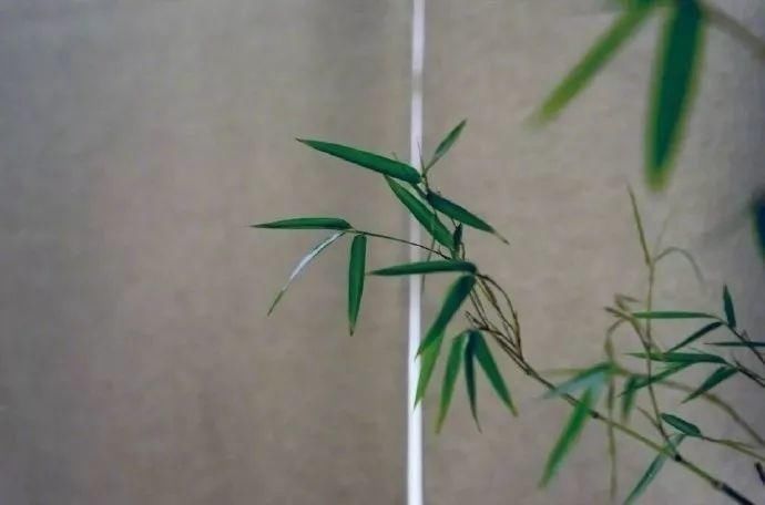 章氏家训@古文欣赏:先贤留给后人的10句话,句句发人深思