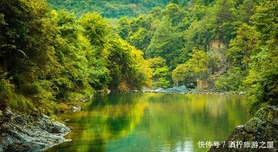 放手|一种束缚,牵着风筝飞,有一种爱叫放手,对孩子你还在放风筝吗