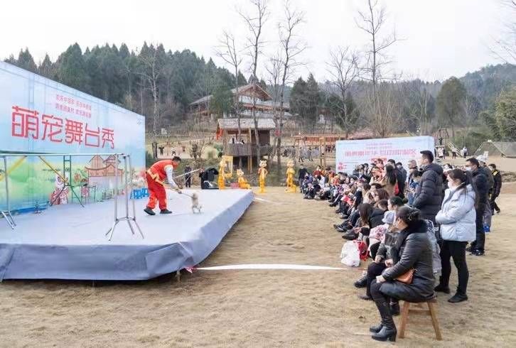 小动物|春节假期 四川剑阁乡村文化旅游受追捧