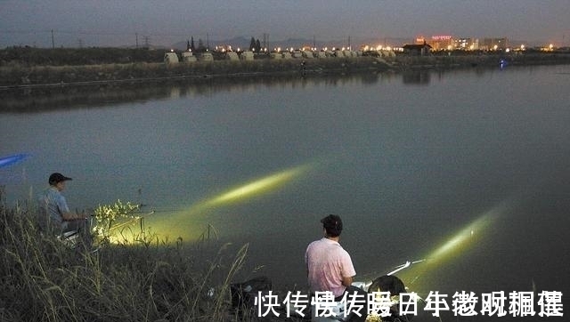 夏季|夏季夜钓时，这三个找鱼技巧要学会，诱鱼省时又省力