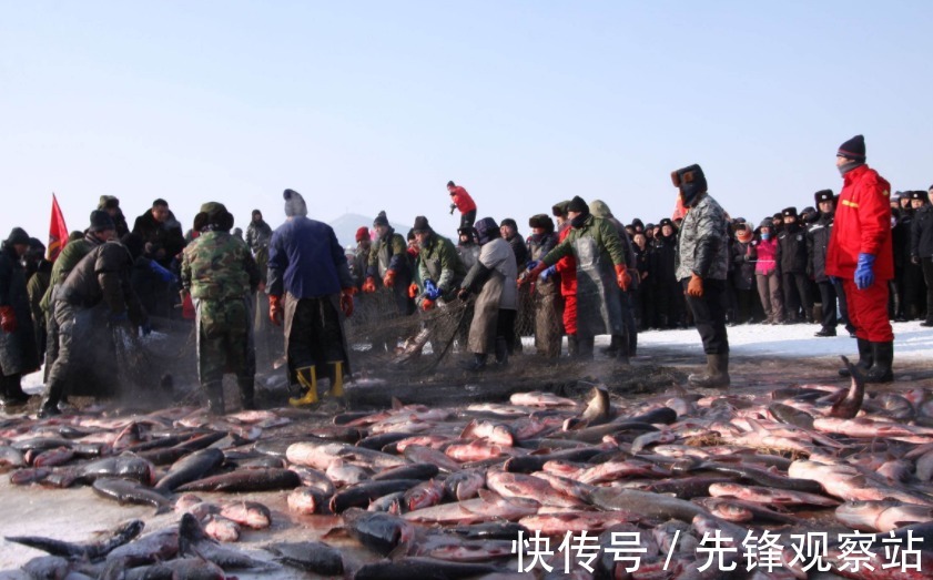 “灭绝式”捕鱼有多暴力？黑科技被滥用，可视锚鱼器成牟利工具！