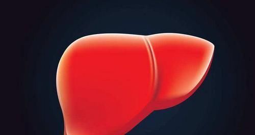  眼睛|肝功能好的人，晨起后一般有4个表现，占2个以上，恭喜肝还不错