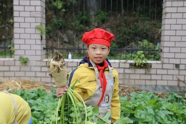 常山育才小学|【特别策划】挖番薯，做索面，磨豆浆……常山育才小学以劳动教育为“双减”加持