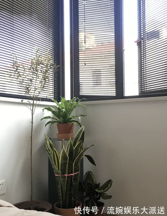 大户型|小户型要这么装，24㎡玄关秒变厨房和洗衣房，收纳翻倍方便实用！