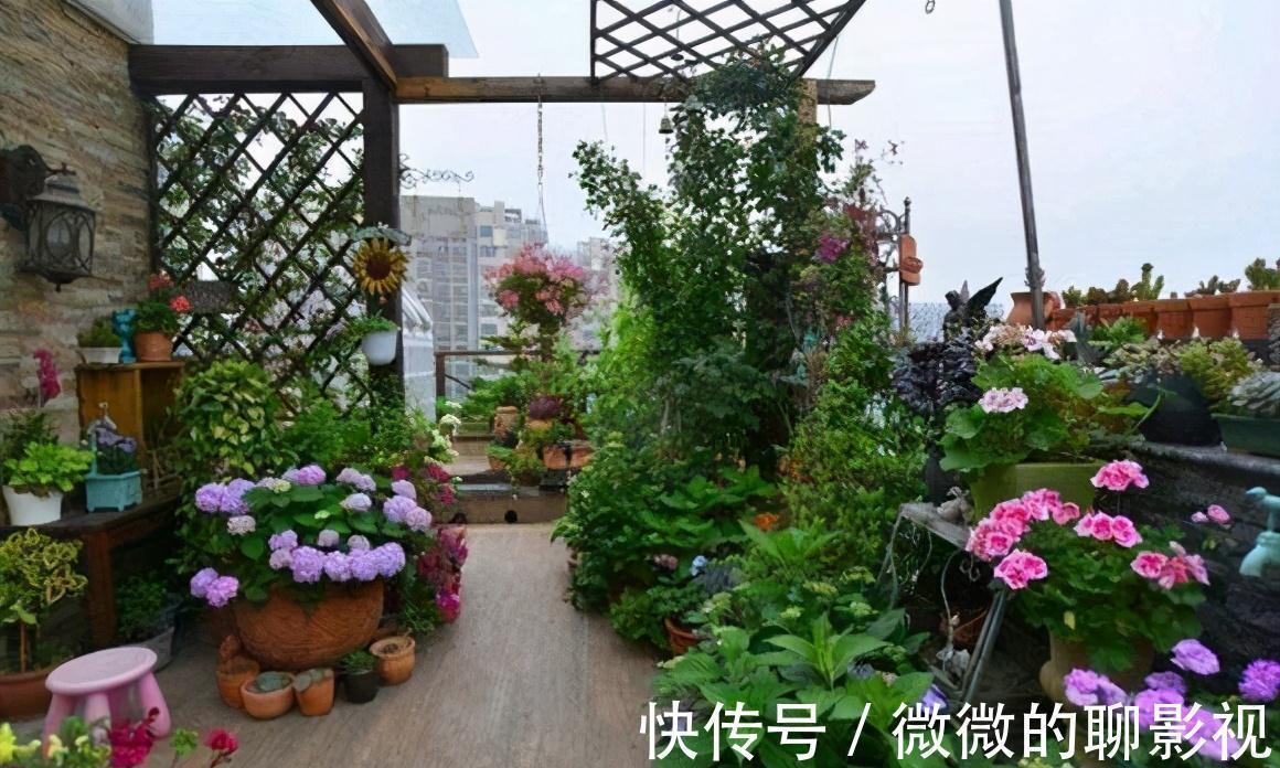 橙子皮|这3种食物废料别乱扔,自制无臭有机花肥,邻居们都羡慕坏了