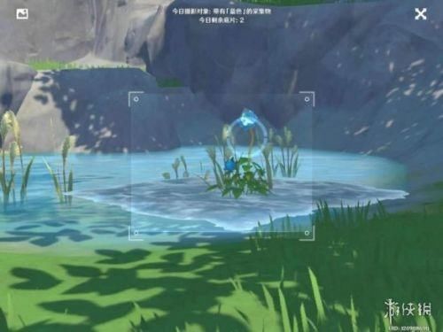 蒲公英 原神蓝色照片在哪里拍？蓝色照片采集物生物分布位置一览