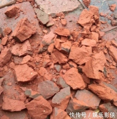 红砖|路边上的3样“玩意”，丢盆里，让土壤10年不板结，花卉蹭蹭长！