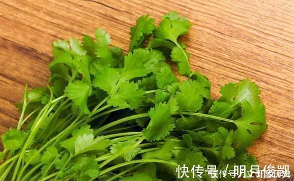 食用油|保存香菜不能直接放冰箱，老农教你一招，放久了不发黄也不烂叶