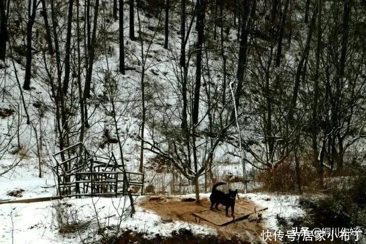 沙漠水：初春的小雪