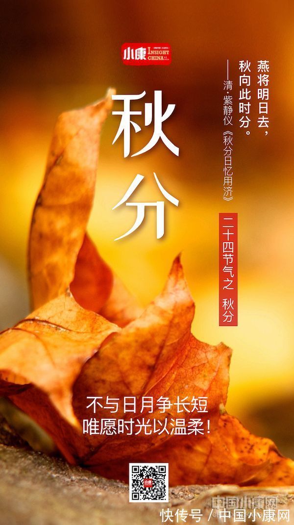 翠竹亭亭!万物有时 岁月成诗:打开二十四节气的另一种方式