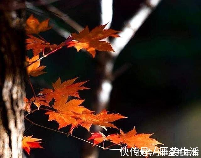 老无所依!人到六十,我们要做好老无所依的准备,原因很现实,写完流泪了