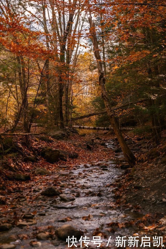 苏东坡|苏轼喝醉酒在桥边睡了一夜,醒来后题诗桥柱,短短8句成千古名篇