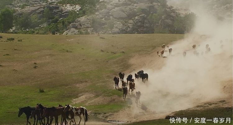 哈萨克|草原上的生命大迁徙哈萨克转场