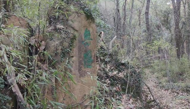 苏州荒野中的小庵，有400多年的历史，一位高僧最后归隐地