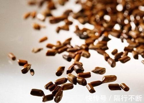 颈椎病|农村用此种子做枕头，安神促睡眠，养肝降血压，防治颈椎病