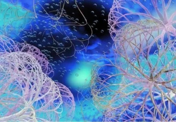 粒子 当原子放大千万倍,一个奇幻的微观世界,出现在了我们的眼前