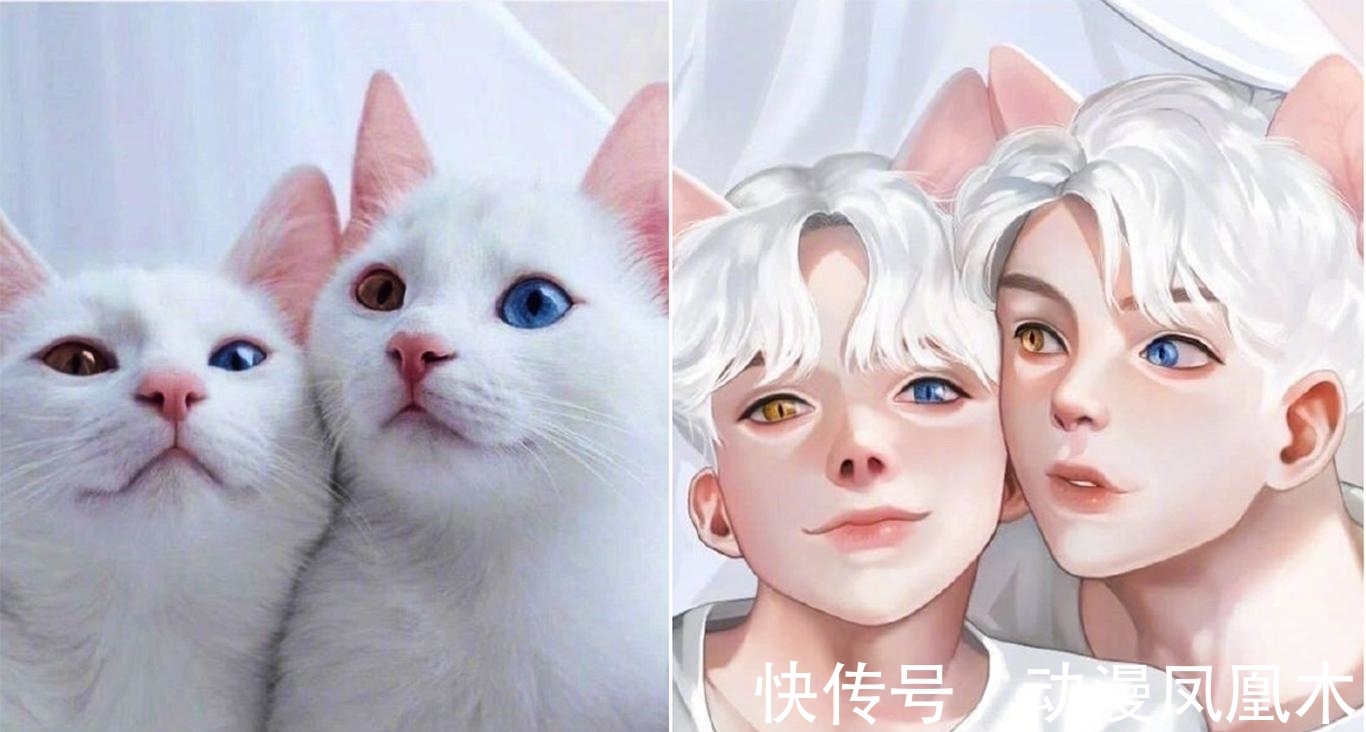 二次元化|当动物被画师二次元化,可盐可甜可帅气,还是纸片人更让人心动