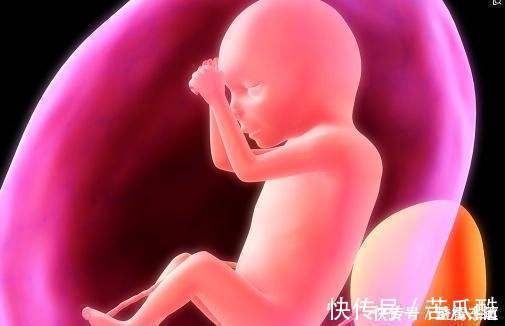 叶酸|胎宝也会肚子饿,孕妈收到这三种“信号”,说明需要补充能量了