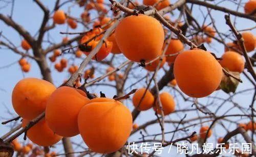 槟榔|皮肤“不欢迎”的4种水果,常吃或增多皱纹,希望没有你爱吃的