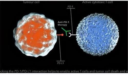 医生|肿瘤一般治不好，能治好的都是误诊了？肿瘤医生说出了心里话