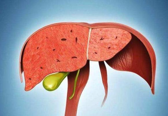 优质蛋白|经常喝酸奶,是养肝还是伤肝?医生道出实情,最好了解下