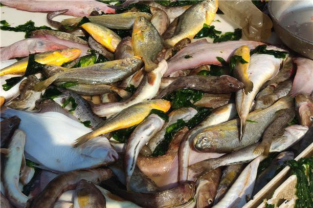 长寿|长寿是“吃”出来的中老年人常吃肥肉会折寿吗看完再吃也不迟