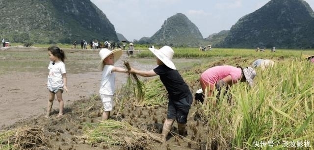 点名|央视点名、收视第一,这档萌娃节目拍得又暖又“虐”