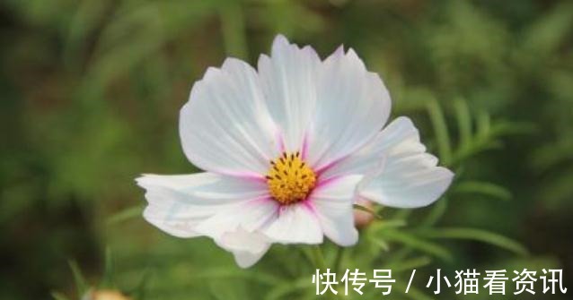 妈妈|妈妈是此三属相,生的孩子不但聪明懂事,长大后也有所作为