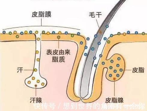 垃圾 只有化妆才需要卸妆？告诉你什么才是护肤第一步