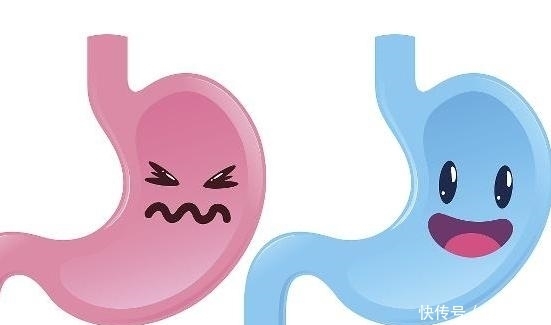 维生素|4种天然的“养胃”食品,健胃又消食,或许能帮你把胃病“吃”回