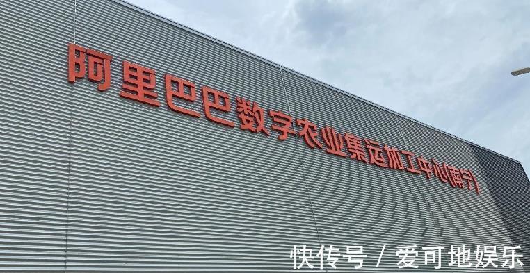 阿里巴巴|人民日报痛批阿里，一直保持沉默的马云，终于现身了