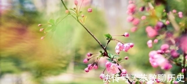 君难托!男人更懂男人!王安石一首妙诗,题目很直接,令世间多少男子汗颜