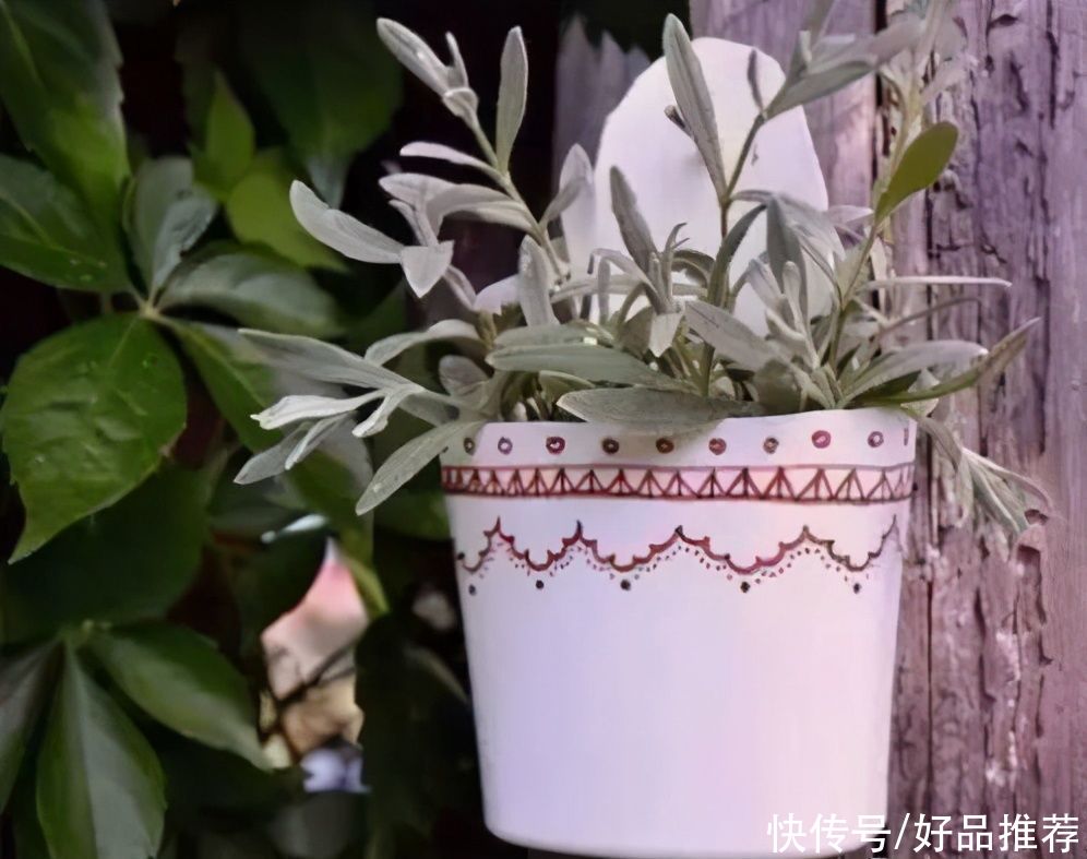  收纳|塑料瓶手工制作 老师们、家长们收藏吧