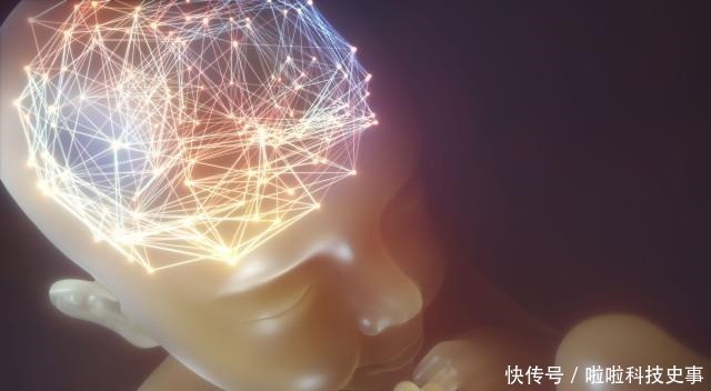 大脑|孕八月胎儿大脑增重最快，孕妇多吃这些“益脑”食物，宝宝更聪明