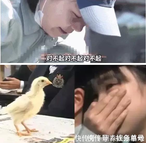 生命|日本最“变态”的生命课亲自养，亲手杀，亲口吃，孩子崩溃大哭