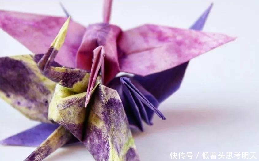 重样|每天折一只千纸鹤,他坚持了1000天不重样,女友被感动到梨花带雨