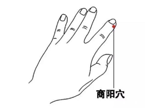 阳气|早晨捏六指尖,打开全天阳气一个中医人的养生探索