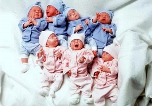 多胞胎|全球首例7胞胎,一天喝42瓶奶粉用52片尿布,23年后他们过成这样