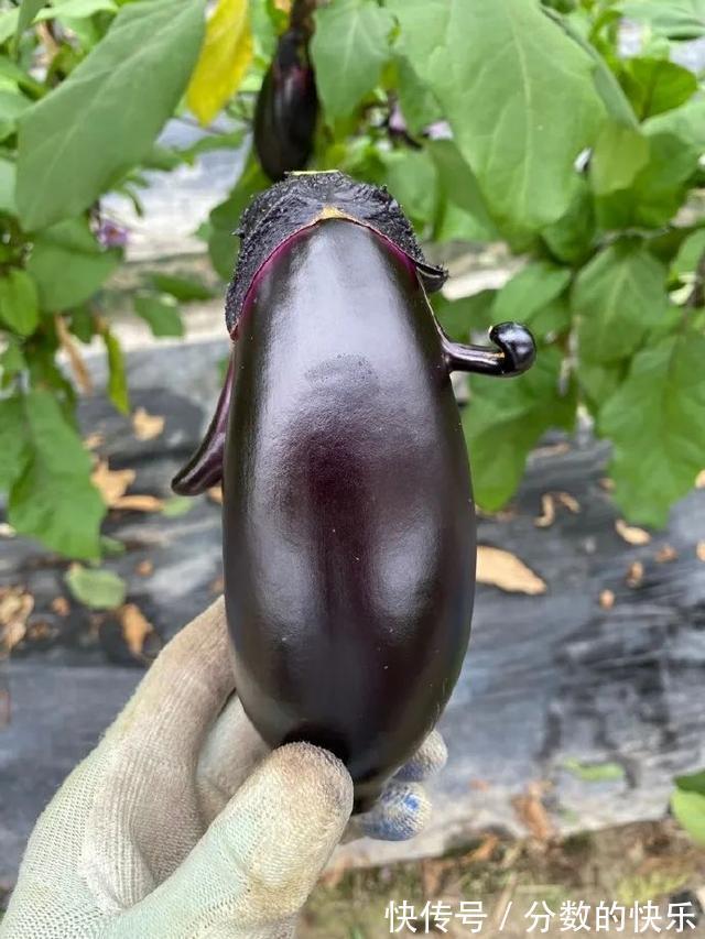 |朋友在你脱单路上的重要性 冷段子1794