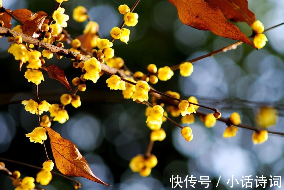 崔道融&古诗中的春节:从这20首古诗中,看一下古人是如何过春节的