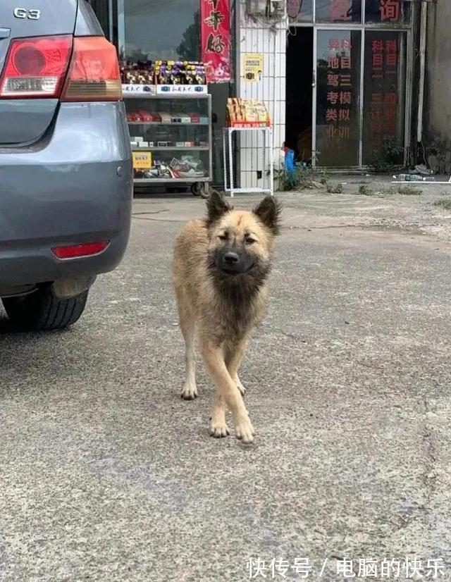 |搞笑图集:一个宿舍42个学生,网友:养猪都不敢这么养啊