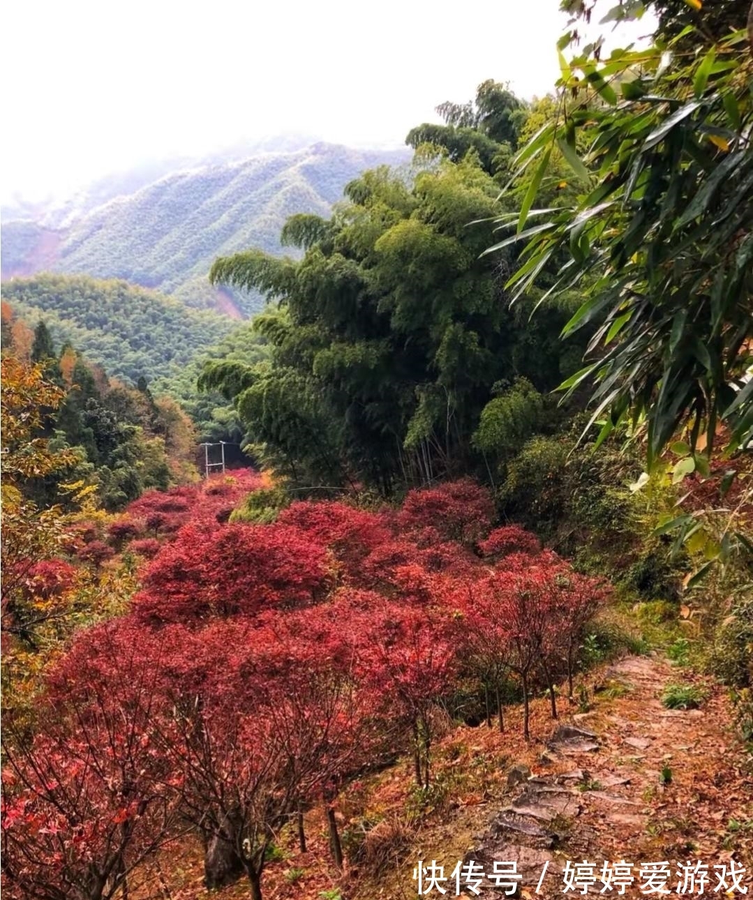 环线|宁波赏秋，金秋时节这三大秋色撩人的绝美景点，赶赴秋日之约