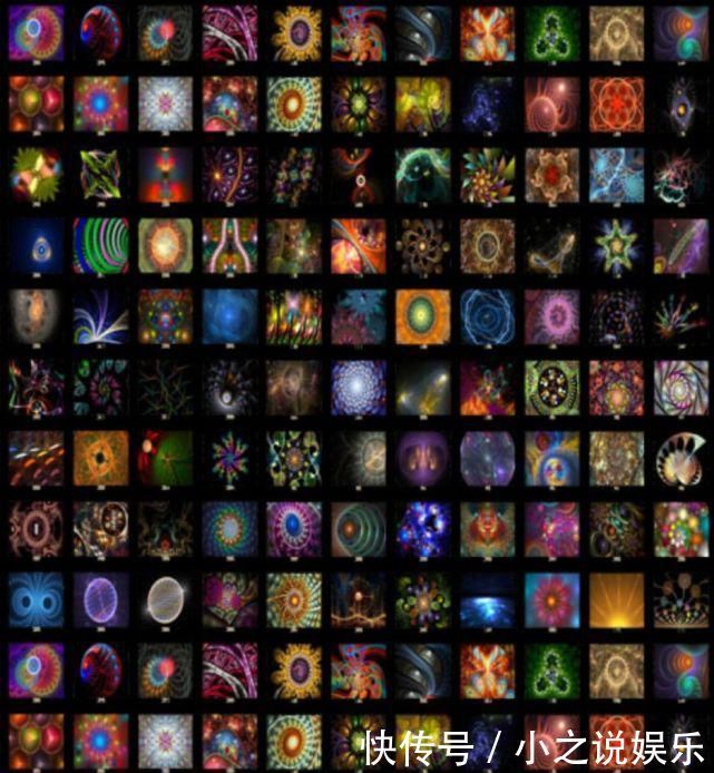 人类你别以为自己长得美,事实上,生物就该美成异形那个样……