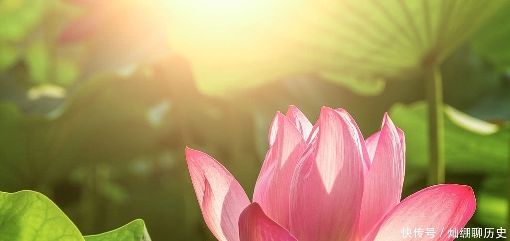 《第一炉香》里的葛薇龙,明知姑妈名声不好,为什么还会自投罗网